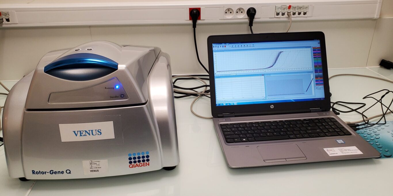 Image texte PCR en temps réel 