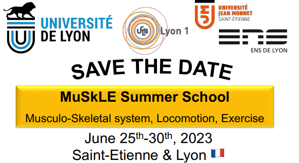 Image actualité CarMeN - MuSkLE summer School 2023