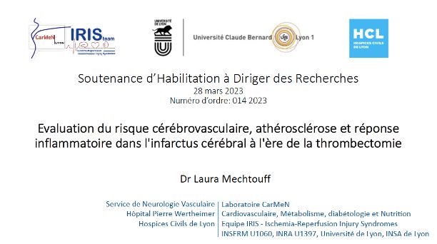 Image HDR defense of Laura MECHTOUFF (IRIS Team) 28th of March
