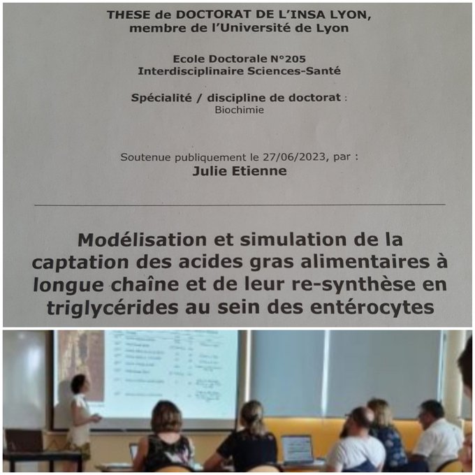 Image actualité CarMeN - Julie Etienne’s thesis defence (DO-IT team)- 27 june