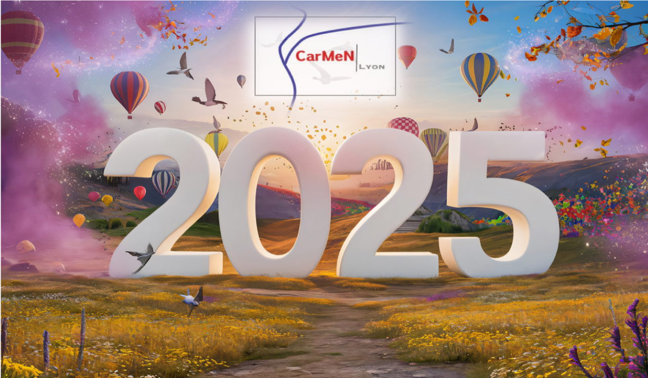 Image actualité CarMeN - happy New Year 2025 !