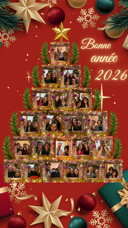 Image actualité CarMeN - Bonne année 2026