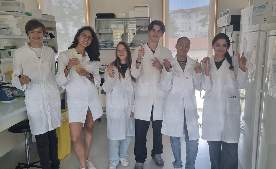 Image actualité CarMeN - Accueil d&rsquo;étudiants en seconde pour un stage découverte du 15 au 26 juin